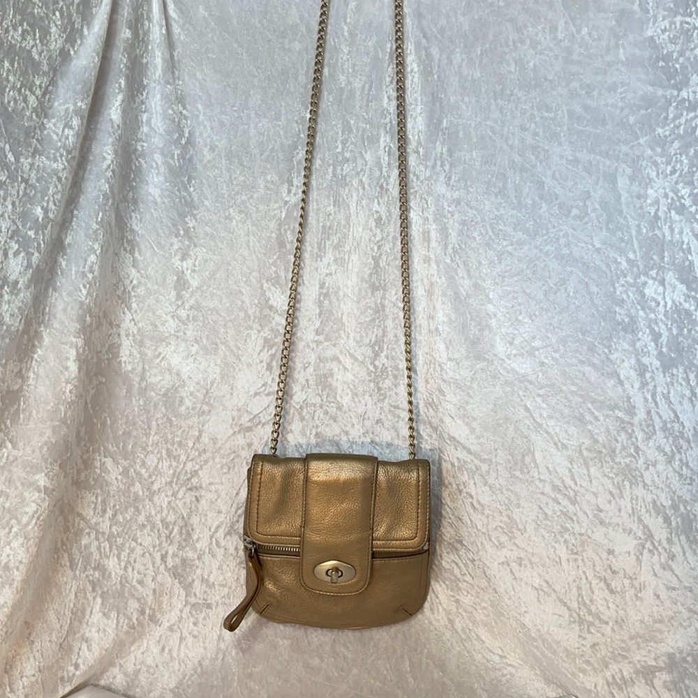 Banana Republic Gold/Platinum Leather Mini Purse